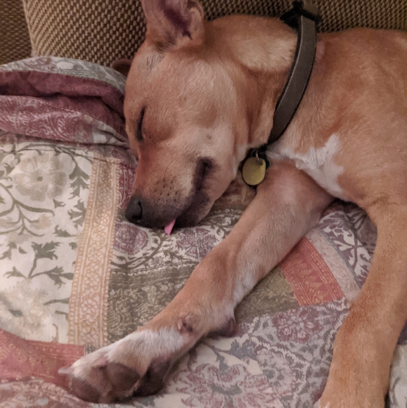 Meet your Posher, Julia - Picture 3 of 10